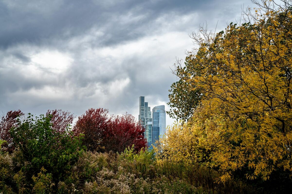 The Chicago skyline in autumn, anchor of the third-largest cannabis market in the United States